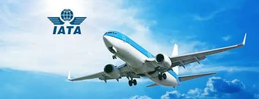 Meet the Eligibility Requirements-iata requirements for travel agency