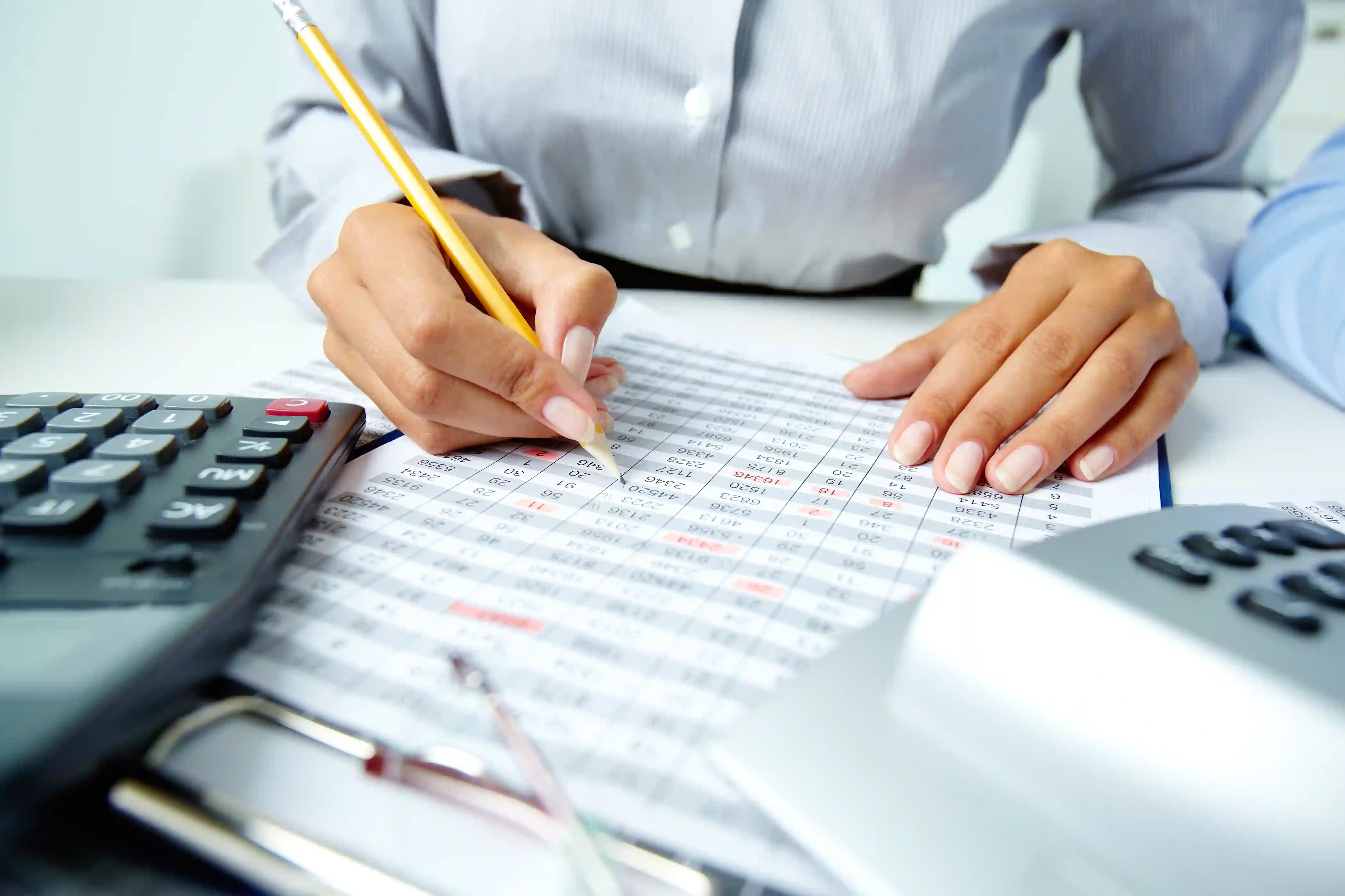 Bubdled Travel Accounting Package