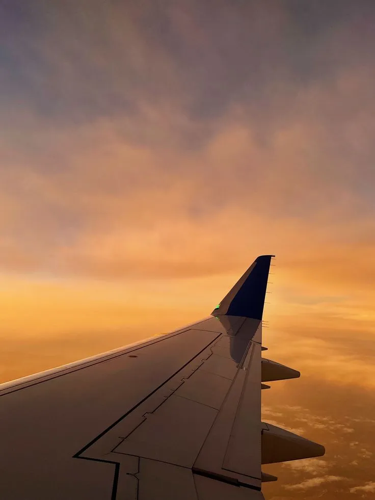 IATA Go Standard-IATA Accredited Travel Agency